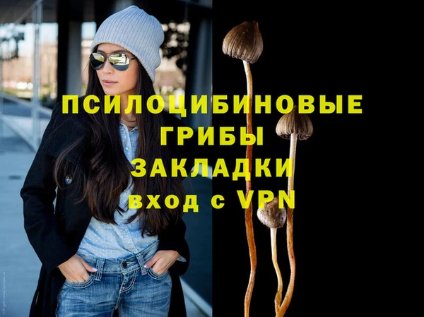apvp Алексеевка